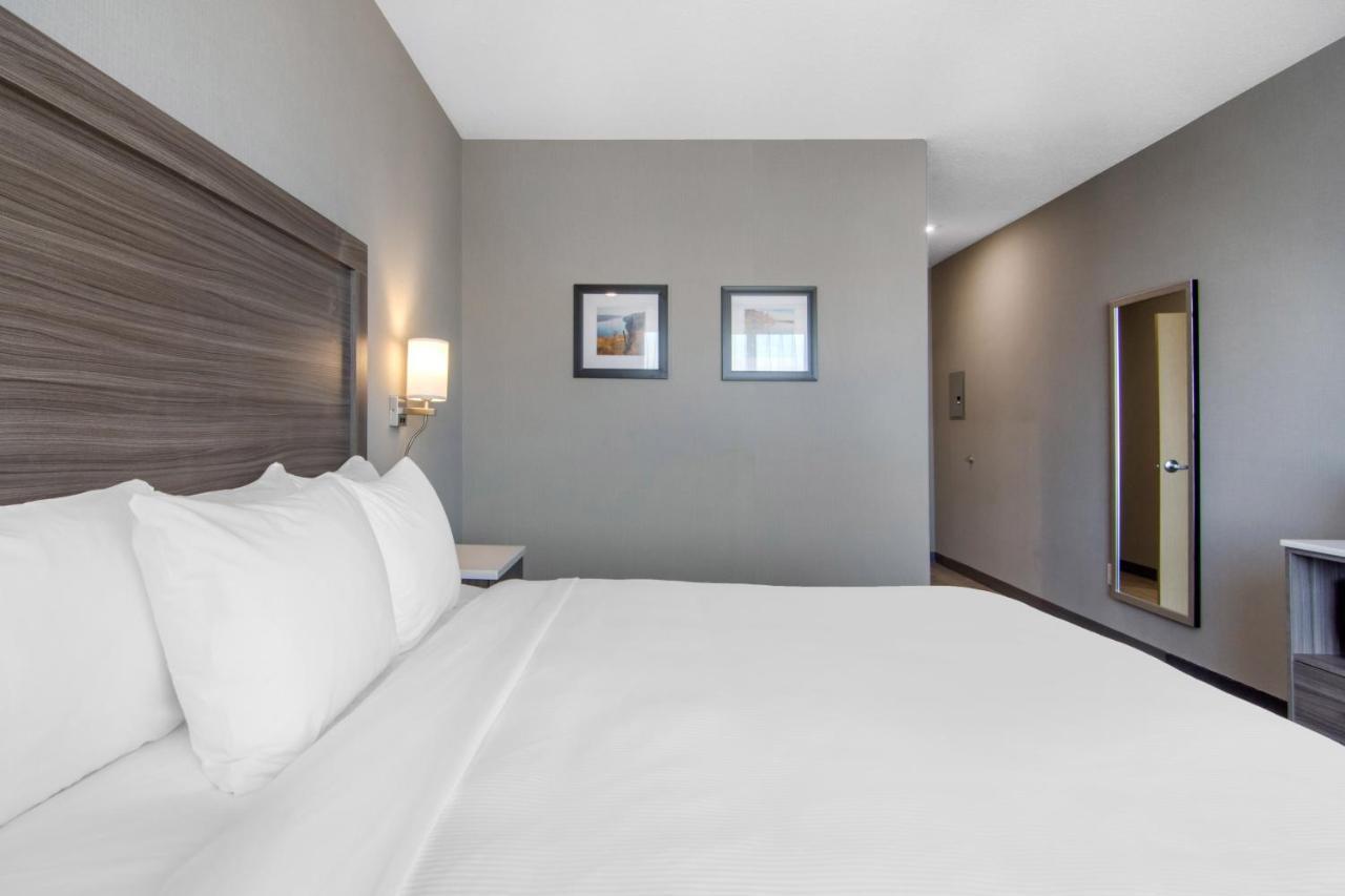 Comfort Inn & Suites North Battleford Ngoại thất bức ảnh